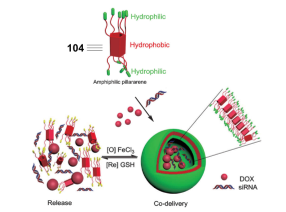 祝贺耿文超同学“Gene delivery based on macrocyclic amphiphiles”综述被Theranostics接收发表